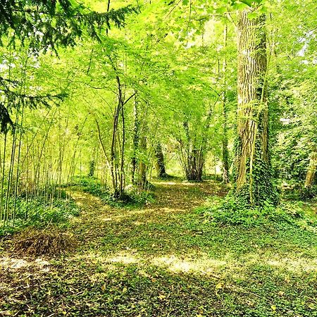 Villa Edouard - 180M2 In Nature & Forest - 20Min Disney - 7Min Airport Claye-Souilly Esterno foto