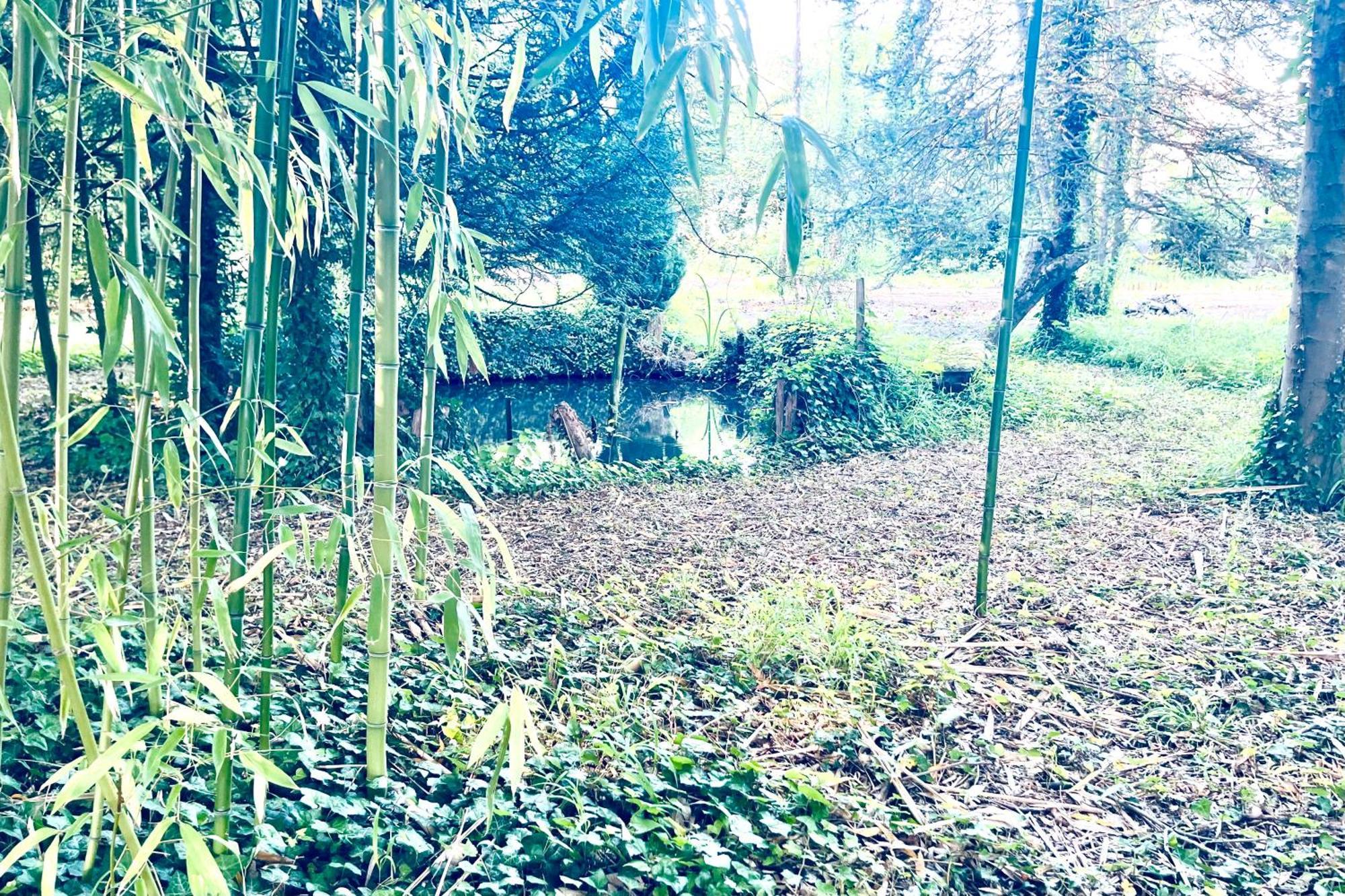 Villa Edouard - 180M2 In Nature & Forest - 20Min Disney - 7Min Airport Claye-Souilly Esterno foto
